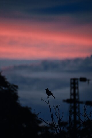 Aadil Amaan Fqkqcdgs7uo Unsplash